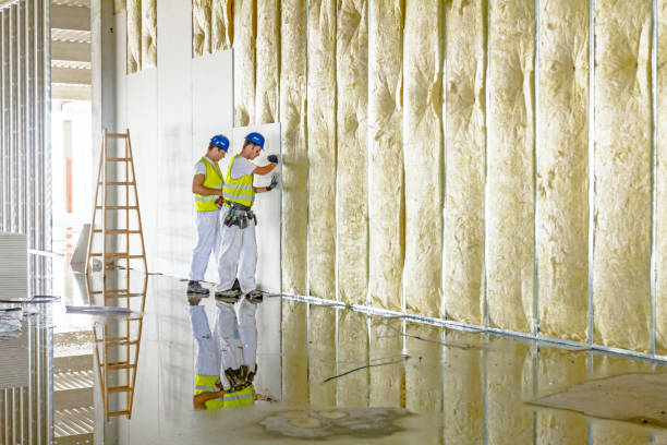 Best Cellulose Insulation in Shawano, WI